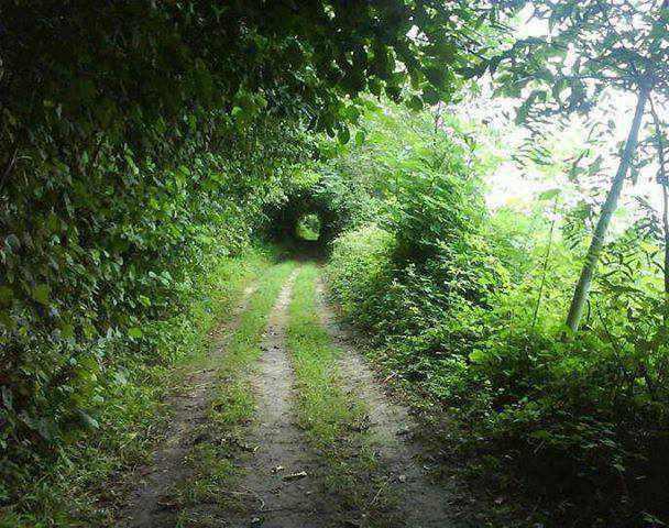 روستای صفرابسته آستانه اشرفیه گیلان