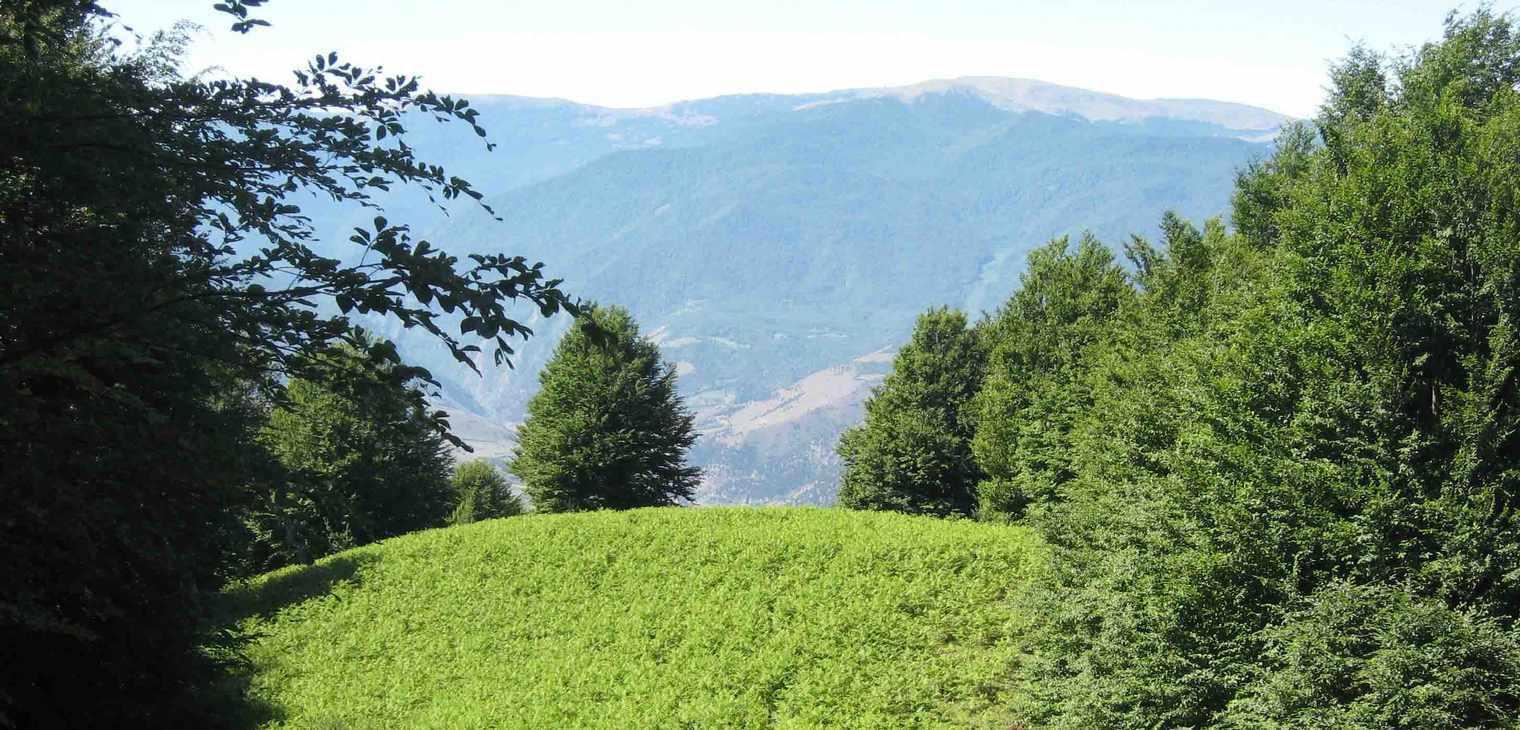 درفک، آشیانه ی پرنده ی یخی، بام گیلان و محل عبور فرشتگان