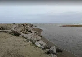 پارک جنگلی کیاشهر
