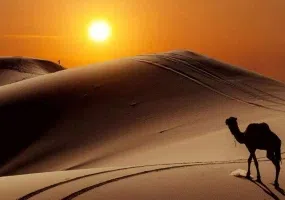 کویر زرین یزد