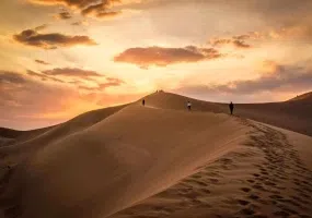 کویر کاراکال، زیستگاه گربه سان زیبای ایرانی