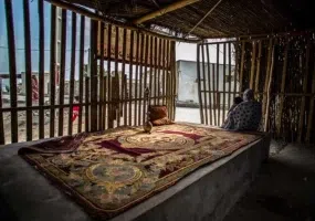 جزیره هنگام، سکونت گاه دلفین ها و ماهی های رنگی آکواریومی