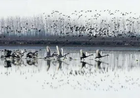 تالاب انزلی کجاست؟