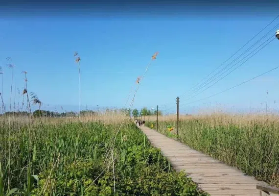 پارک جنگلی کیاشهر