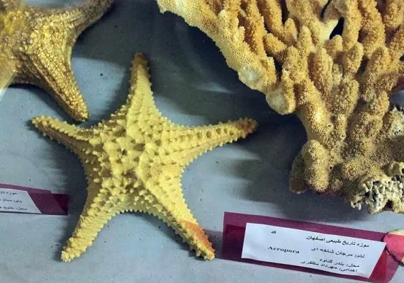 موزه تاریخ طبیعی اصفهان