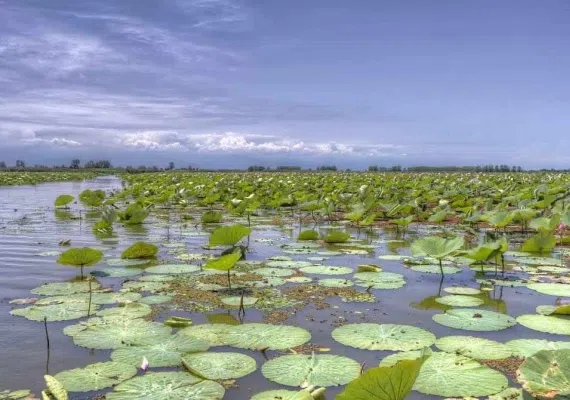 تالاب انزلی کجاست؟