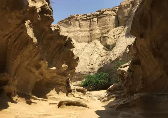 تنگه چاهکوه