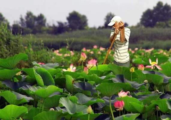 تالاب انزلی کجاست؟