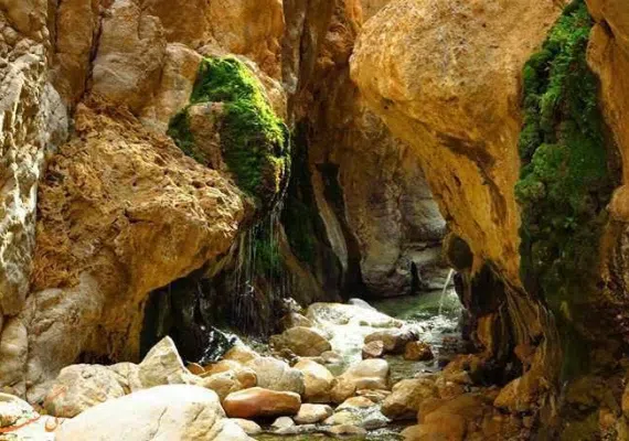 طاق شاه عباسی طبس