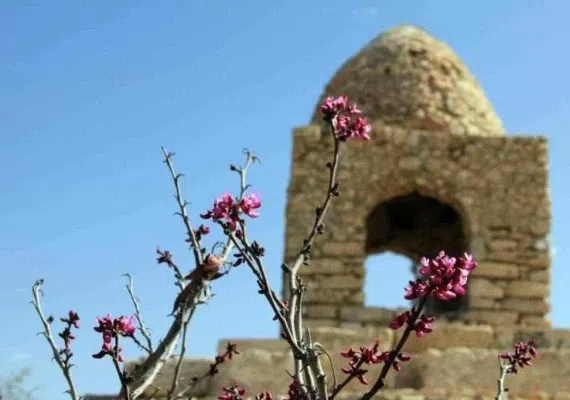 گهواره دید شیراز