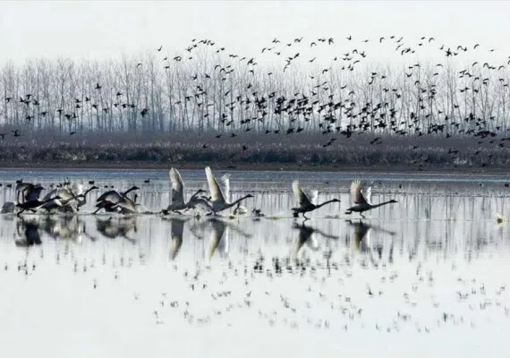 تالاب انزلی کجاست؟