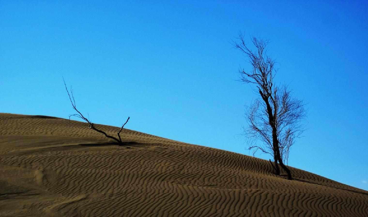 کویر زرین یزد