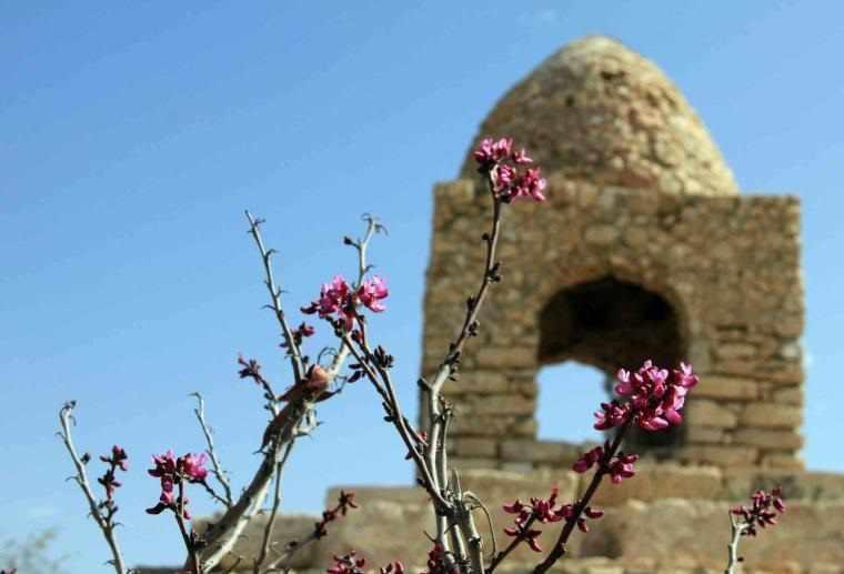 گهواره دید شیراز