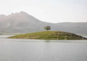 دریاچه ارژن