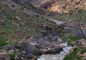 چشمه بشر نی ریز