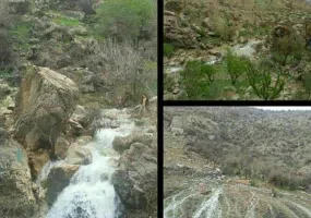 چشمه بشر نی ریز
