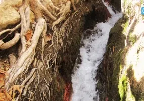 چشمه قهری