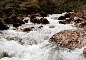 آبشار تارم