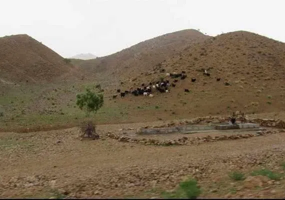 روستای ییلاقی آرک