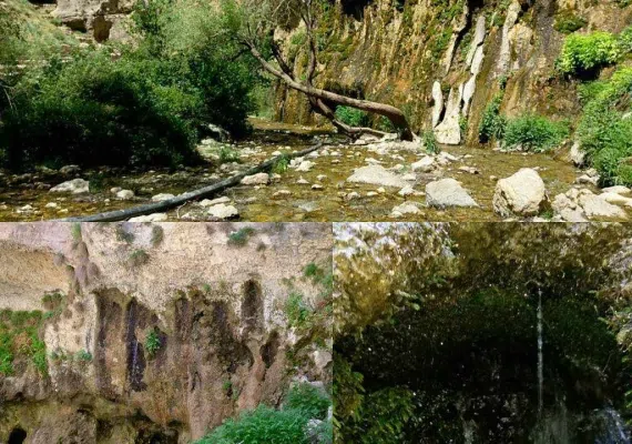 چله گاه