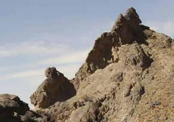 کال جنگال زمان آباد بیرجند