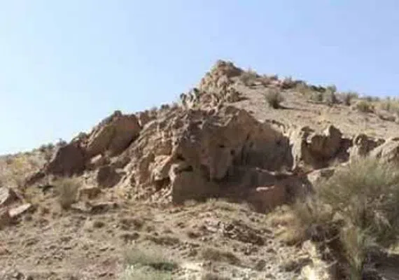 کال جنگال زمان آباد بیرجند
