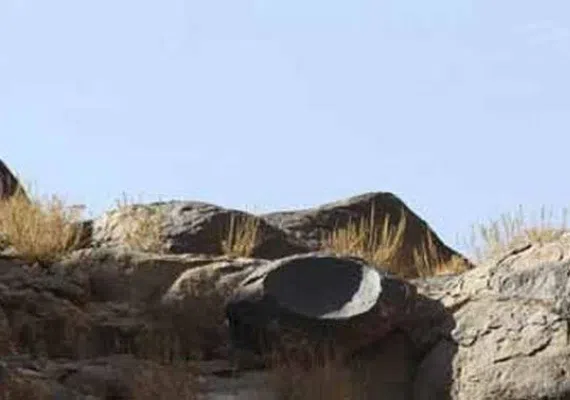 کال جنگال زمان آباد بیرجند