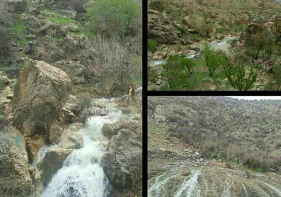 چشمه بشر نی ریز