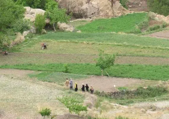 روستای ییلاقی آرک