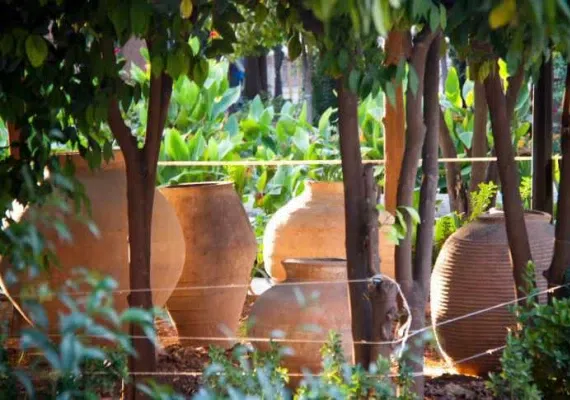 باغ نظر، موزه پارس