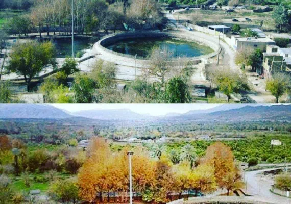 پارک جنگلی امامزاده سید حسین (ع) کازرون