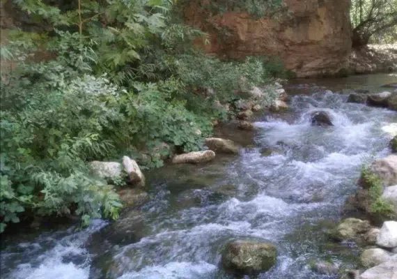 بهشت گمشده