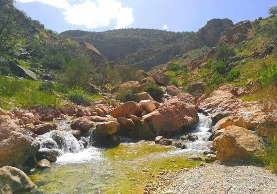 پلنگان نی ریز