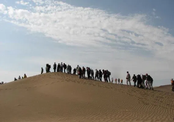 ریگزار و کویر بکر بشرویه