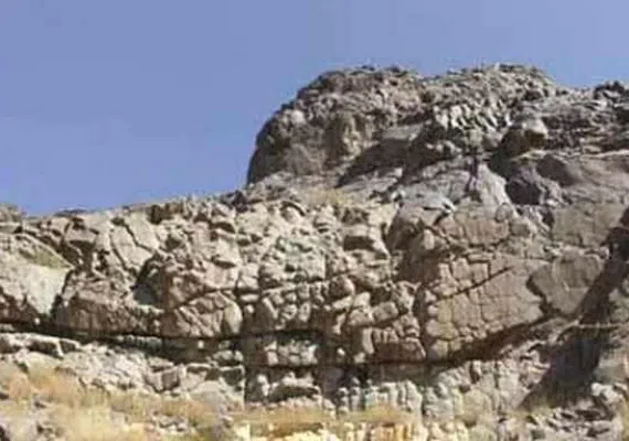 کال جنگال زمان آباد بیرجند