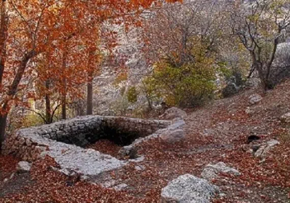 پارک جنگلی استهبان