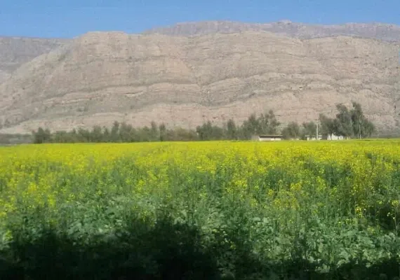 رودخانه قره آغاج