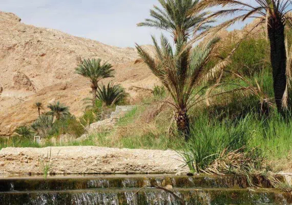 روستای ازمیغان طبس