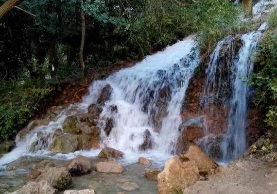 بهشت گمشده