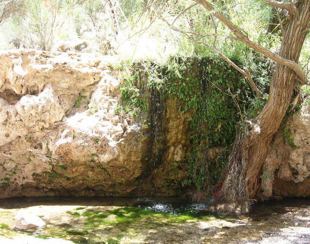 پهنابه نی ریز