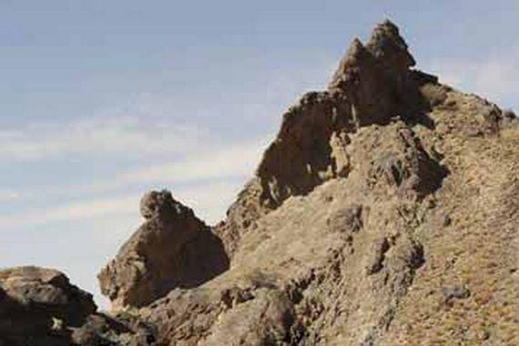 کال جنگال زمان آباد بیرجند