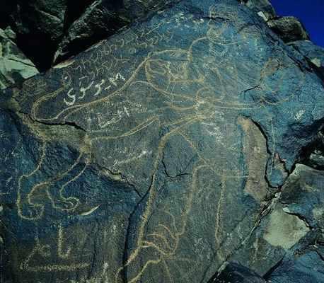 کال جنگال زمان آباد بیرجند