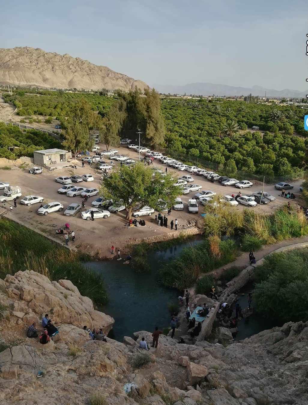 چشمه گلابی