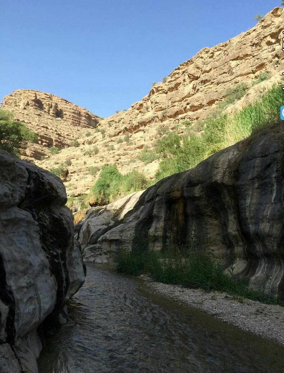 پهنابه نی ریز