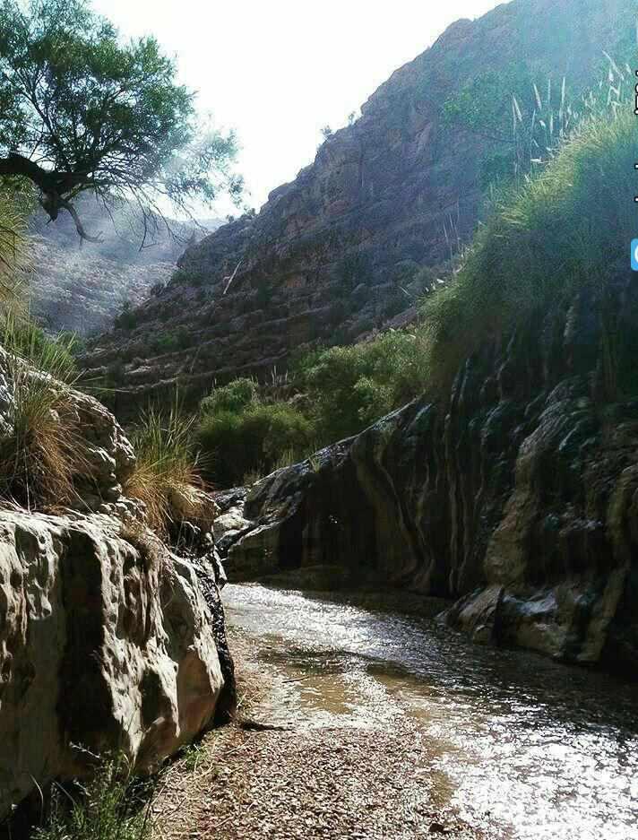 پهنابه نی ریز