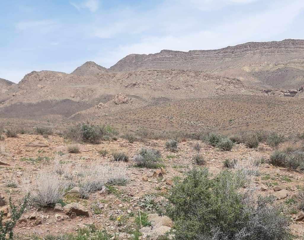 پارک ملی و پناهگاه حیات وحش بختگان