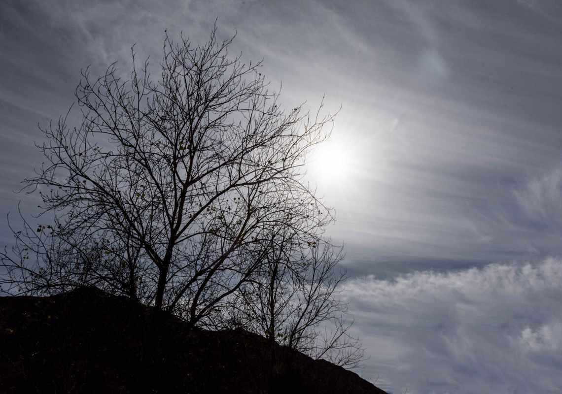 پارک کوهستان یزد