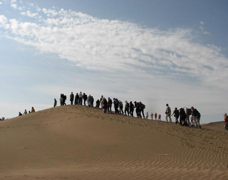 ریگزار و کویر بکر بشرویه