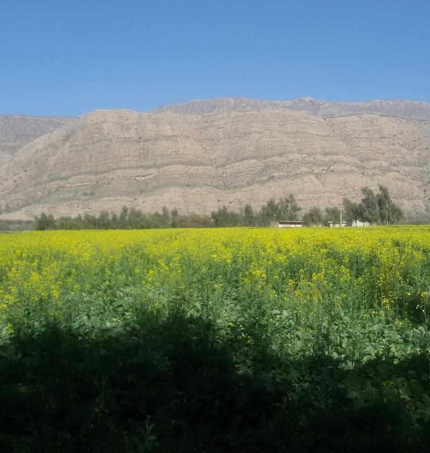 رودخانه قره آغاج