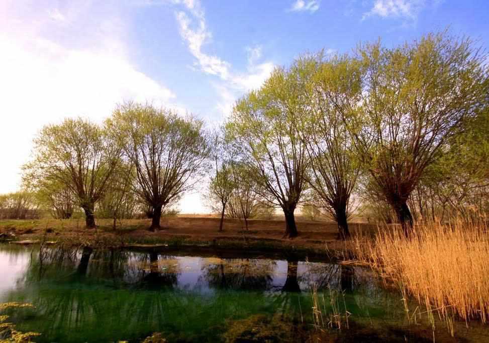چشمه شش پیر شیراز (سپیدان)